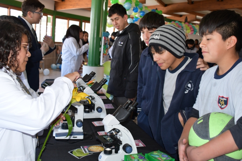 Feria de Ciencias de Don Bosco Calama destacó por su creatividad y compromiso estudiantil